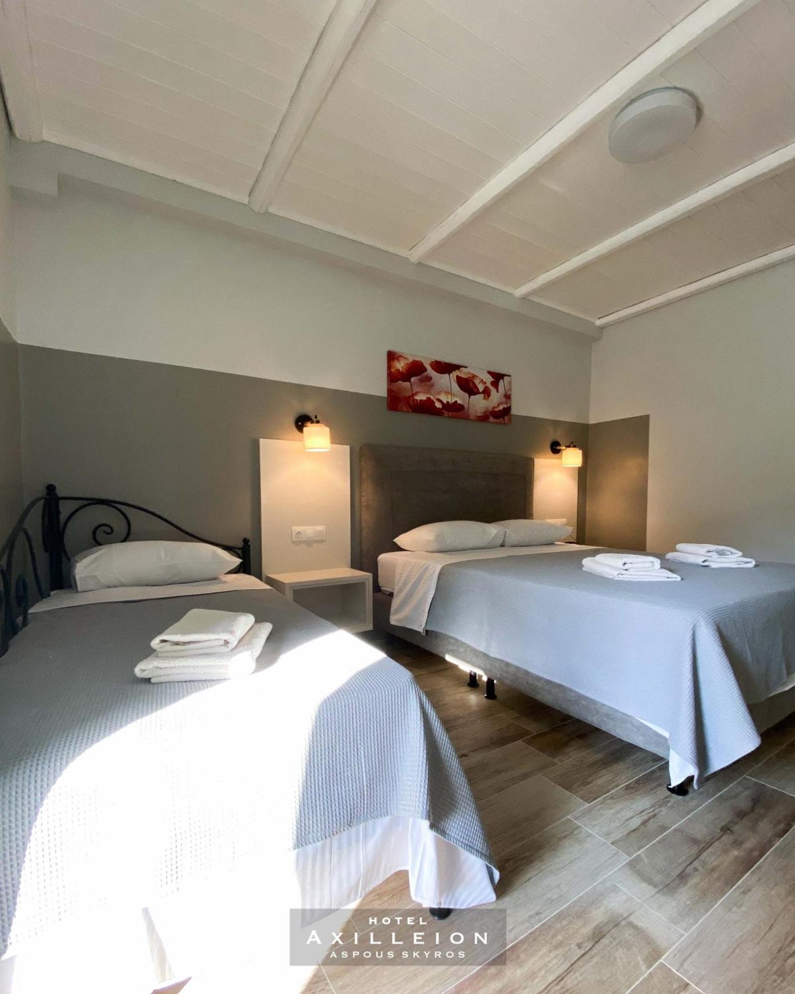 Achilleion Hotel 斯基罗斯岛 外观 照片