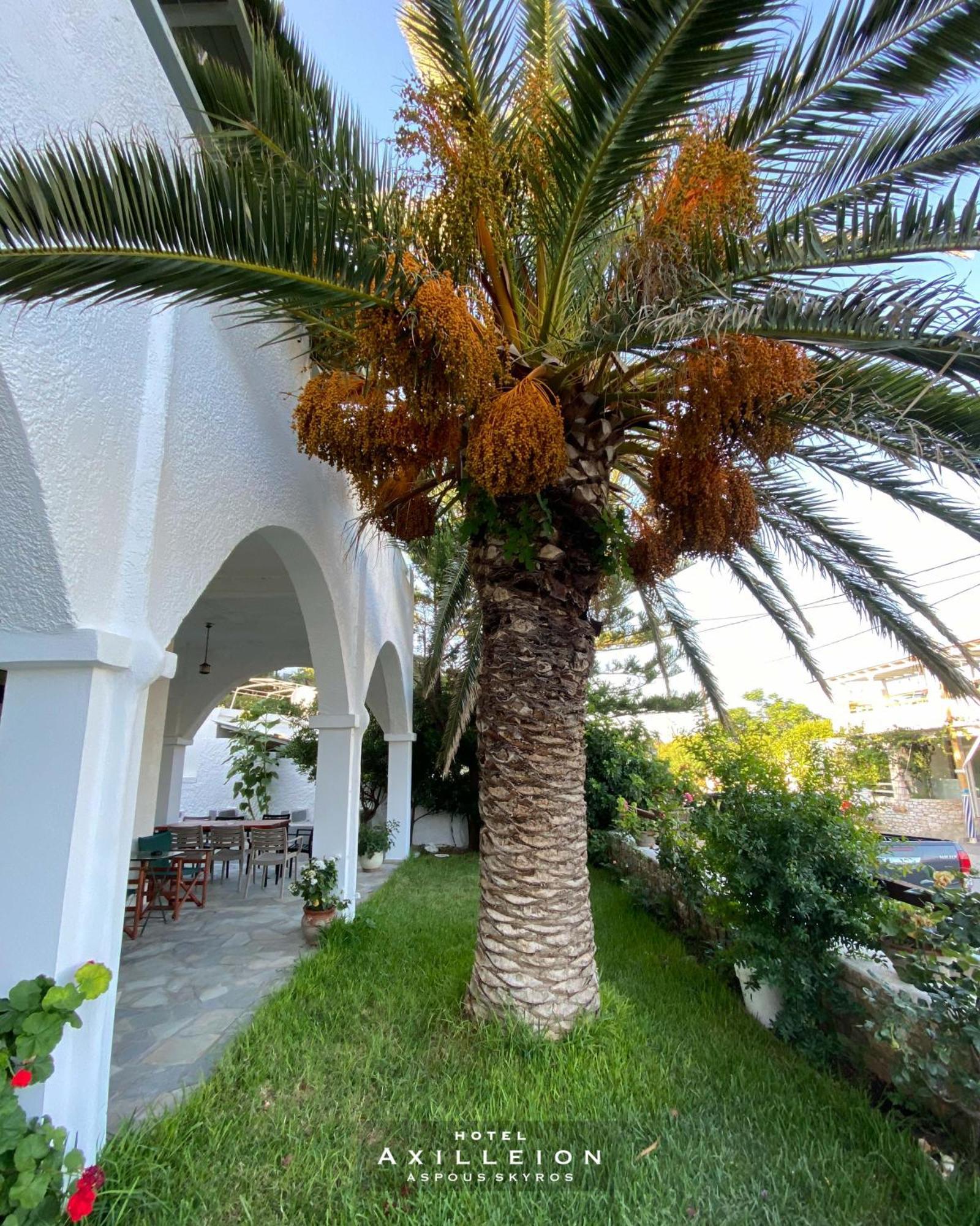 Achilleion Hotel 斯基罗斯岛 外观 照片