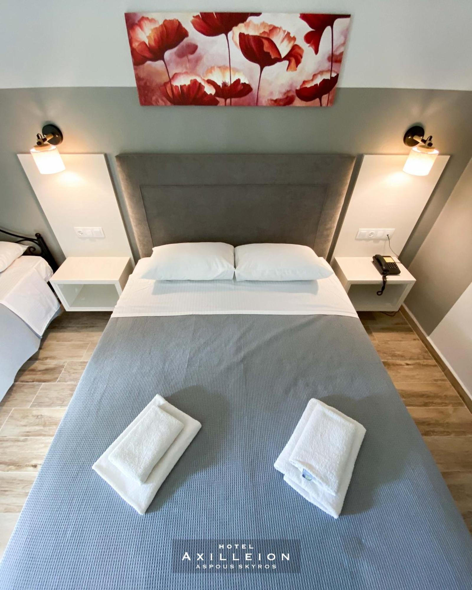 Achilleion Hotel 斯基罗斯岛 外观 照片
