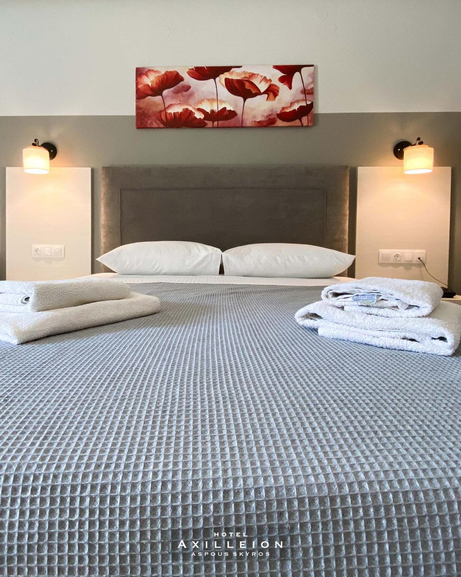 Achilleion Hotel 斯基罗斯岛 外观 照片
